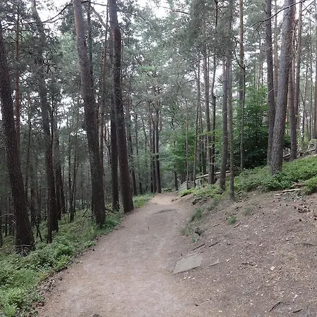 Landgasthof Jaegerstuebchen Neustadt an der Weinstraße