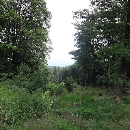 Hotel Landgasthof Jaegerstuebchen Neustadt an der Weinstraße