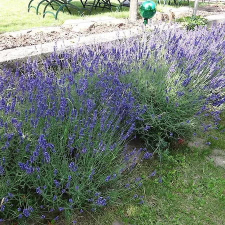 Hotel Landgasthof Jägerstübchen 3*