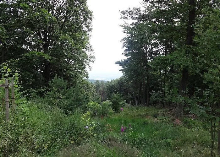 Hotel Landgasthof Jaegerstuebchen Neustadt an der Weinstraße