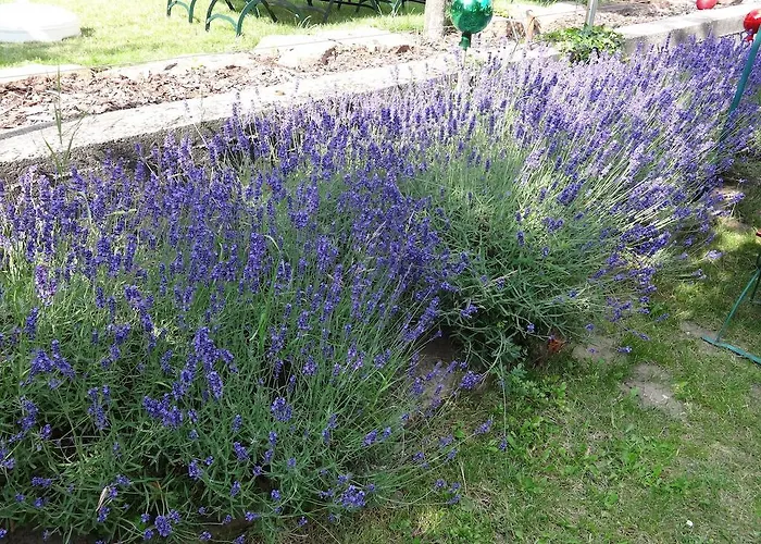 Otel Landgasthof Jaegerstuebchen 3*