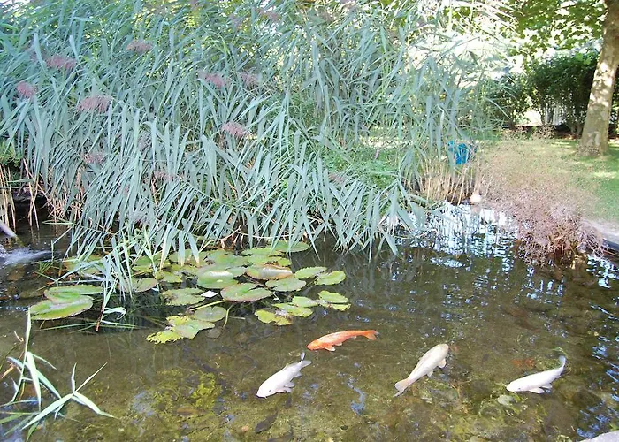 Otel Landgasthof Jaegerstuebchen Neustadt an der Weinstraße
