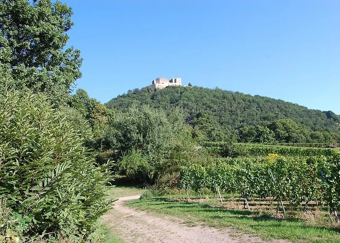 Hotel Landgasthof Jaegerstuebchen Neustadt an der Weinstraße