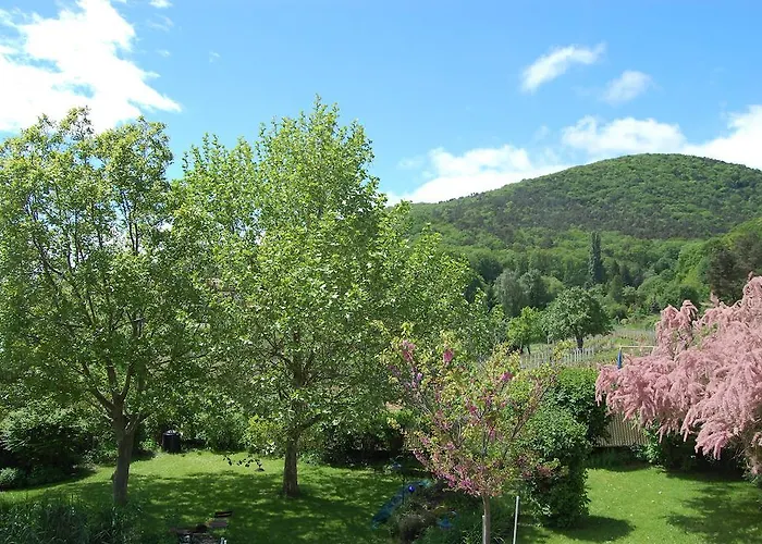Otel Landgasthof Jaegerstuebchen Neustadt an der Weinstraße